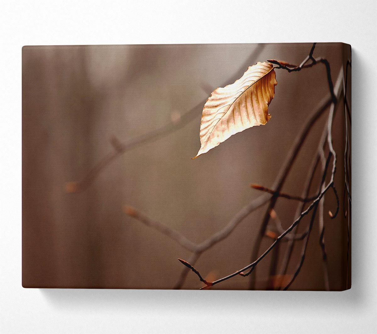 Leafless Canvas Wall Art