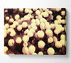 Marigolds Painting Canvas Wall Art