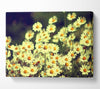 Vintage Daisies Canvas Wall Art