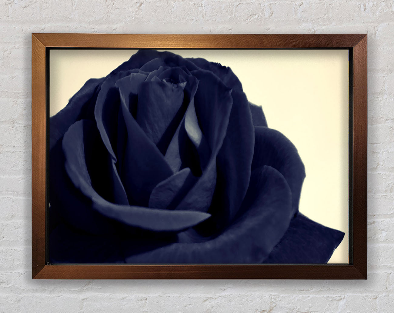 Black Blue Rose Framed Wall Art