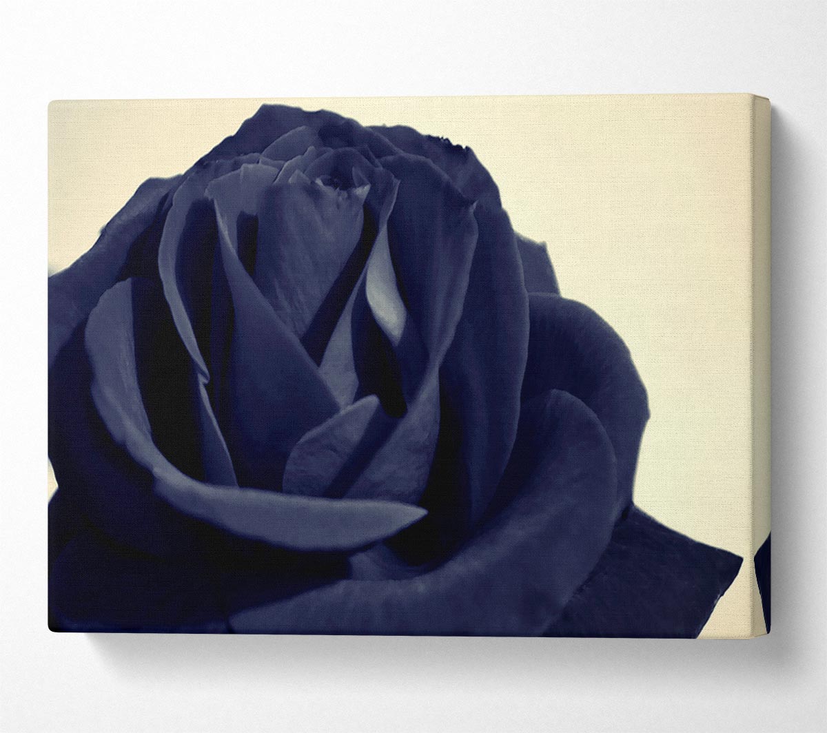 Black Blue Rose Canvas Wall Art
