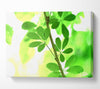 Spring Has Sprung Canvas Wall Art