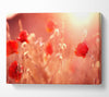 Summer Light Canvas Wall Art