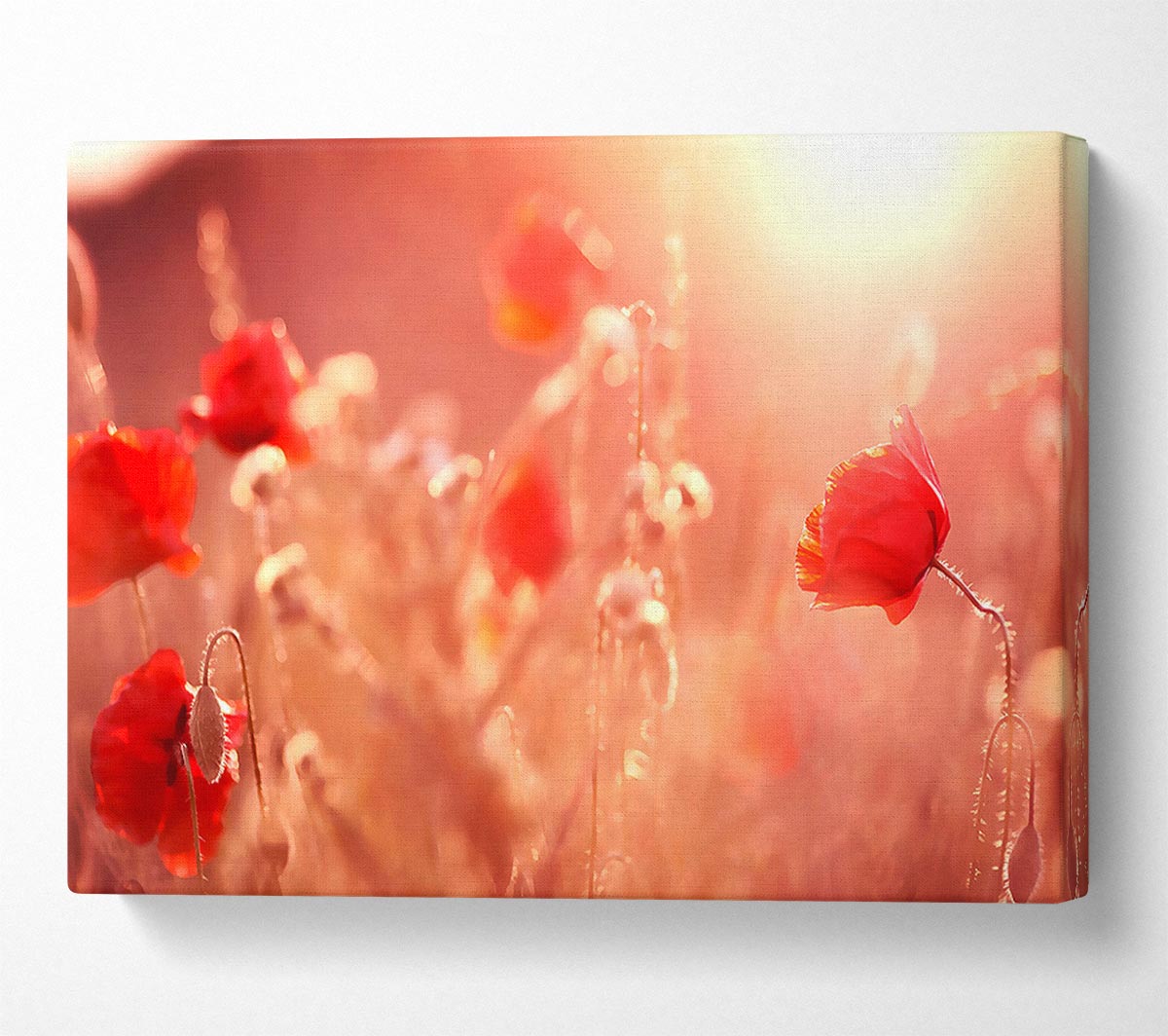 Summer Light Canvas Wall Art