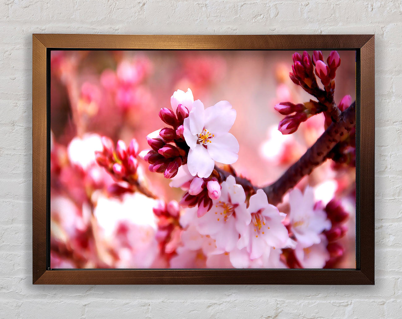 Cherry Blossom Buds Framed Wall Art