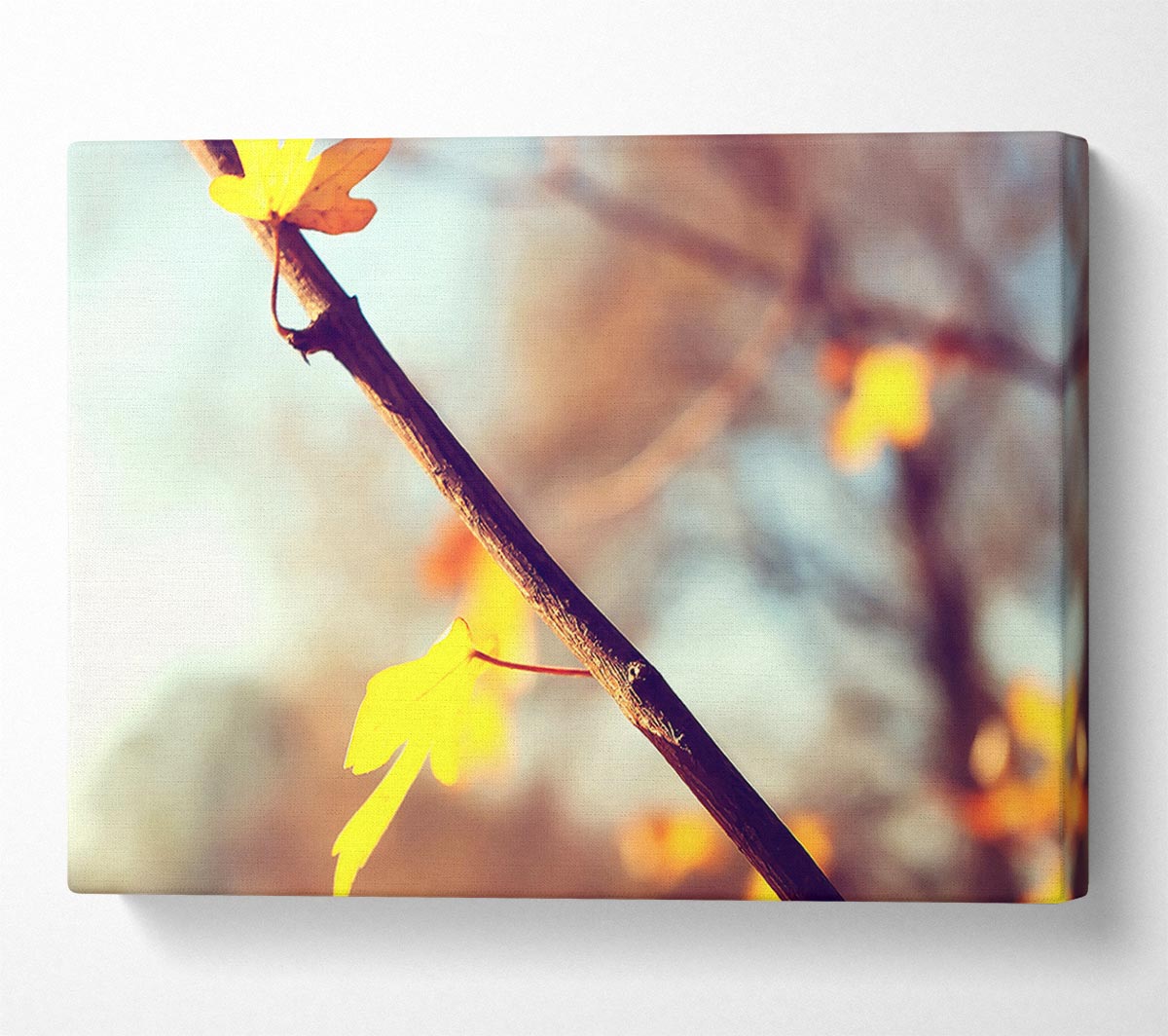 Autumn 2 Canvas Wall Art