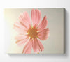 Summer Sun Canvas Wall Art