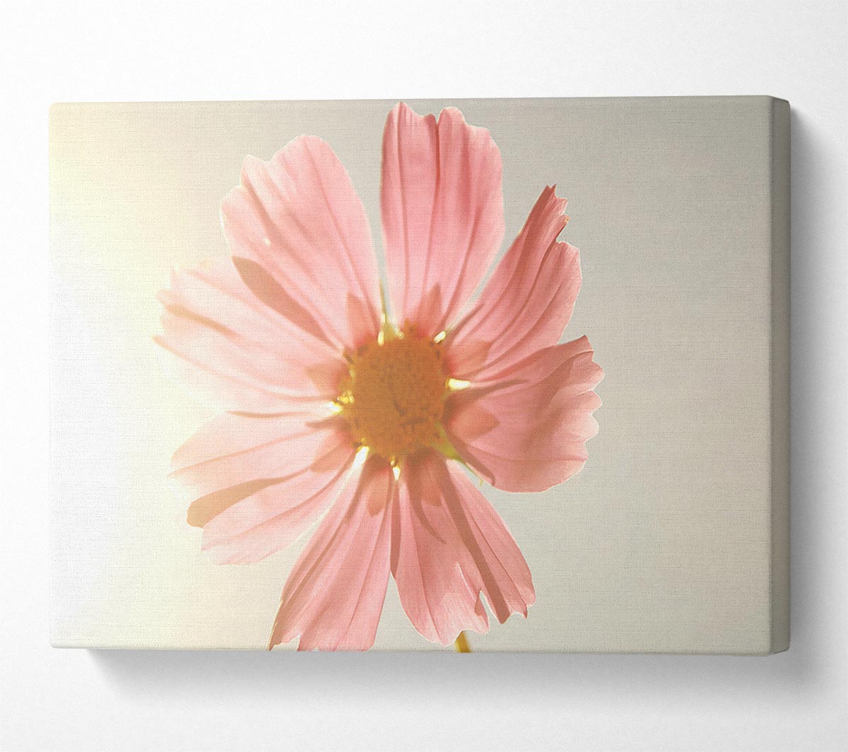 Summer Sun Canvas Wall Art