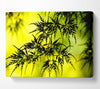 Summer Tree Leaves Canvas Wall Art