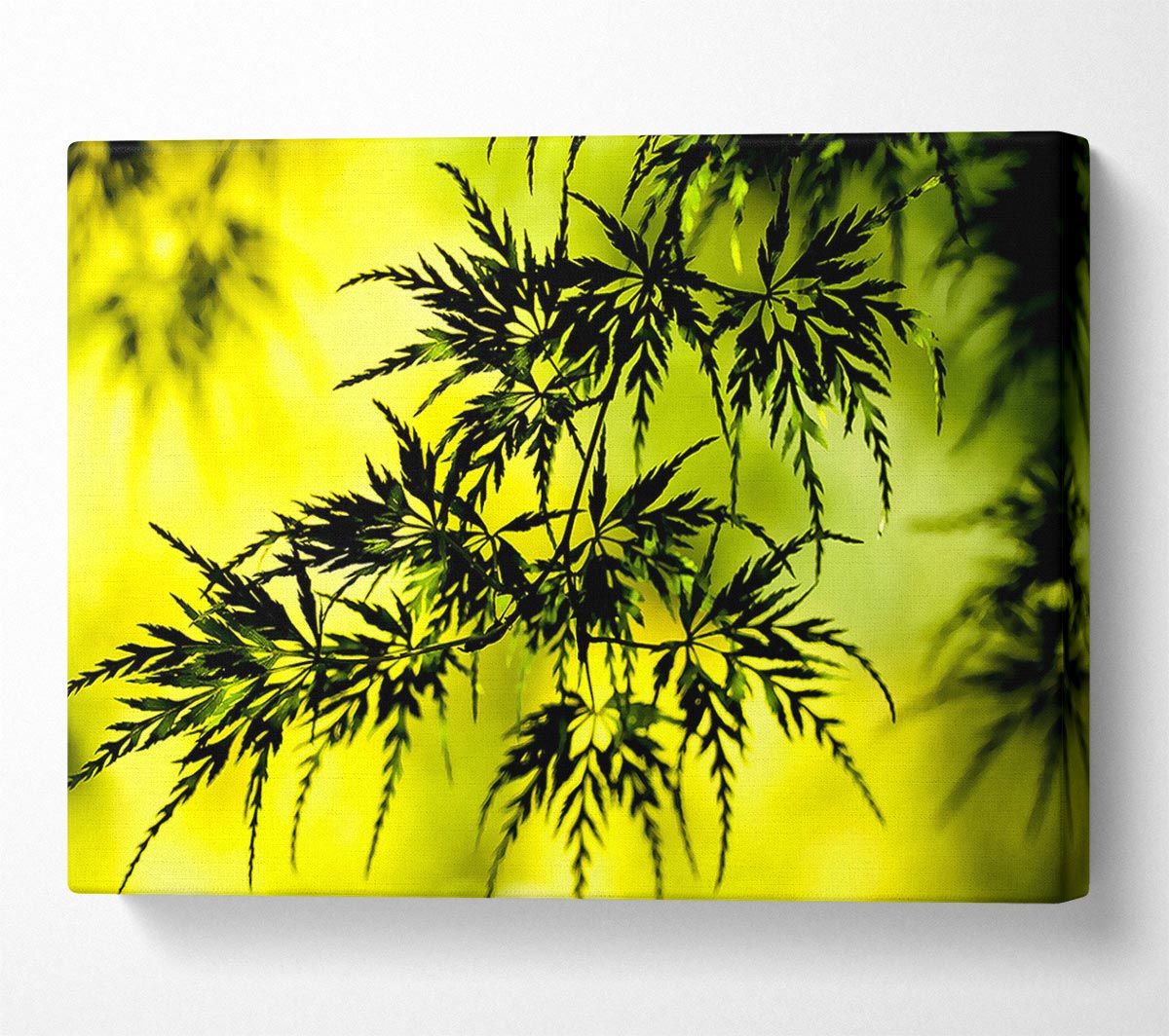 Summer Tree Leaves Canvas Wall Art