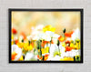 Colourful Summer Flowers Framed Wall Art