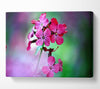 Fresh Flowers In The Garden Canvas Wall Art