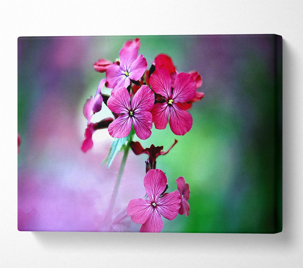 Fresh Flowers In The Garden Canvas Wall Art