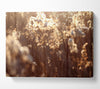Winter Sunlight Flowers Canvas Wall Art