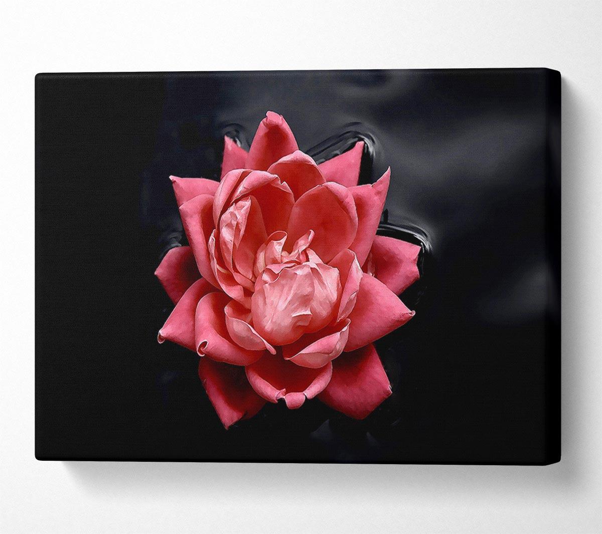 Floating Flower Canvas Wall Art