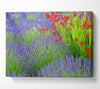 Lavender And Crocosmia Canvas Wall Art