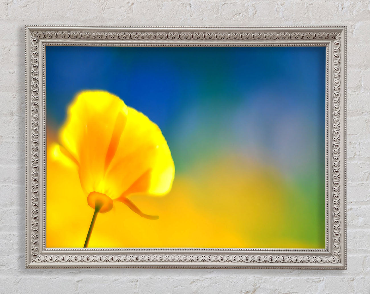 California Poppy Yellow Framed Wall Art