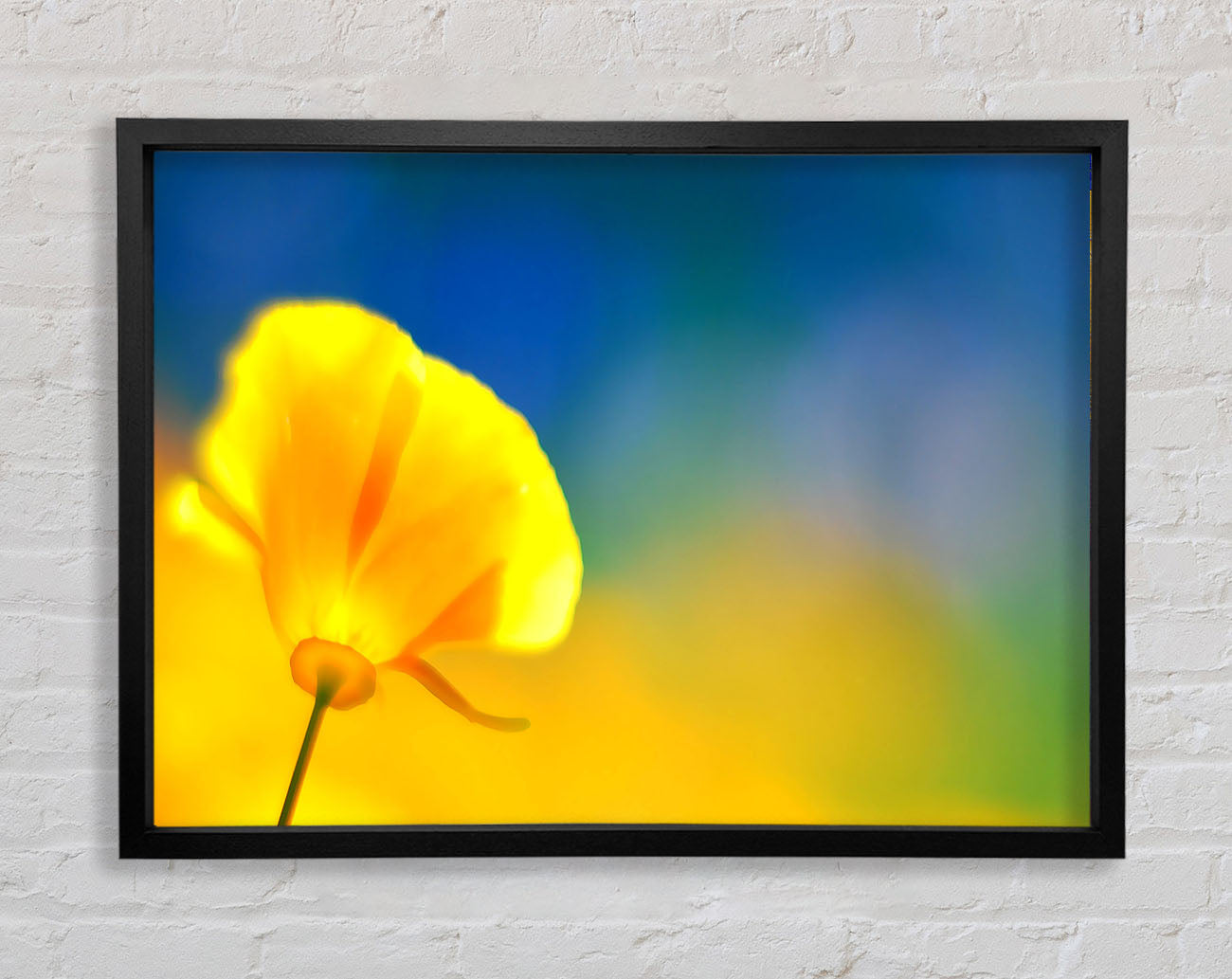 California Poppy Yellow Framed Wall Art