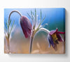 Wildflowers Blooming Canvas Wall Art