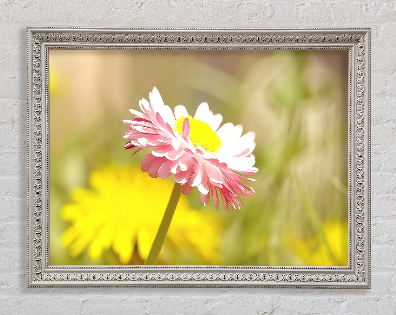 Beautiful Summer Pink Flower Framed Wall Art