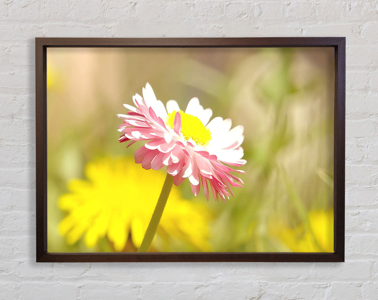Beautiful Summer Pink Flower Framed Wall Art