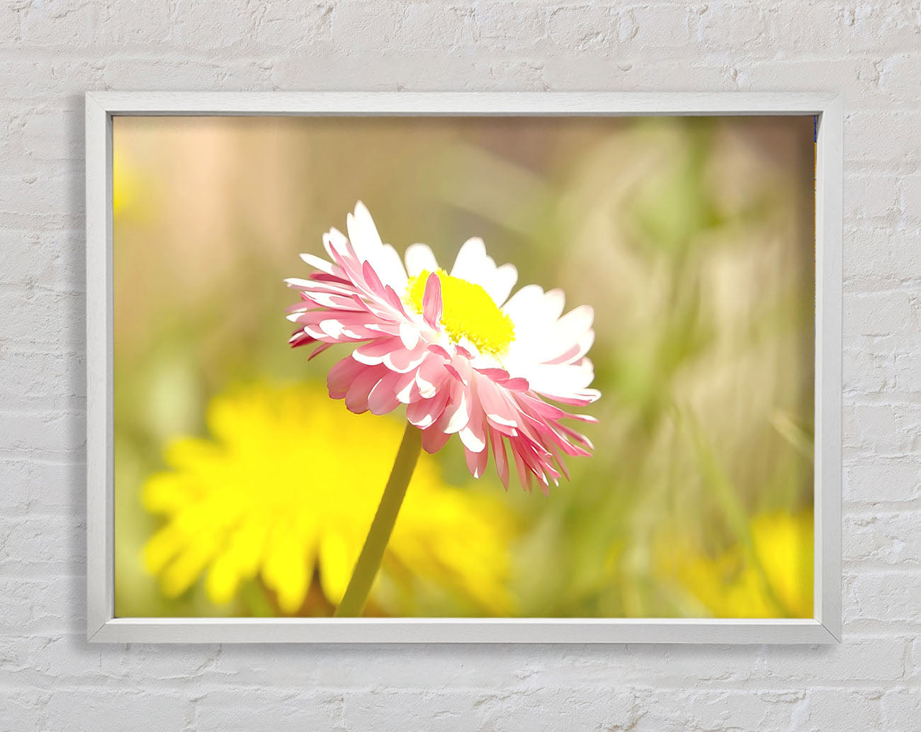 Beautiful Summer Pink Flower Framed Wall Art