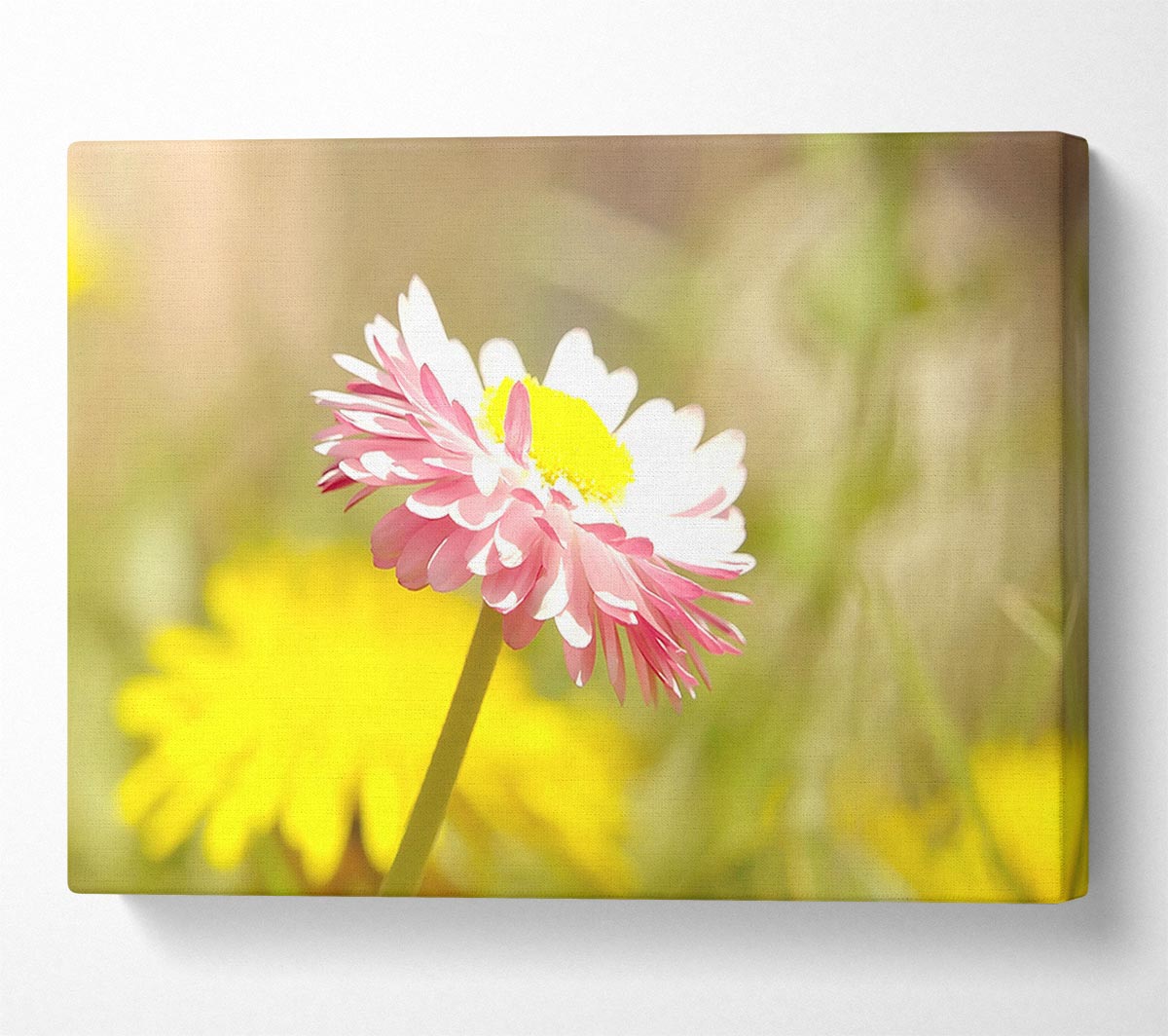 Beautiful Summer Pink Flower Canvas Wall Art