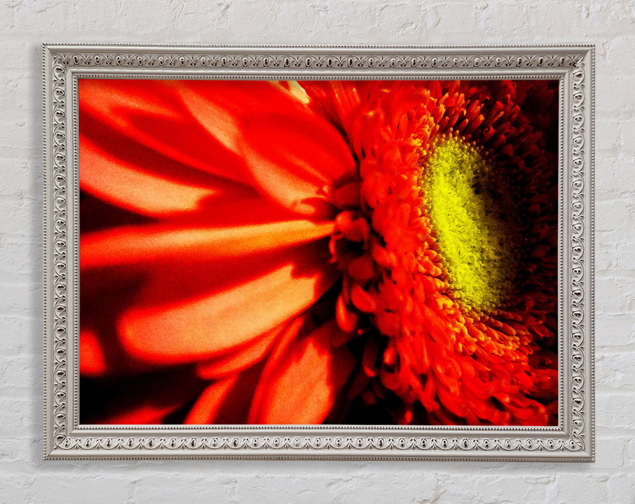 Close-up Of A Gerbera Framed Wall Art