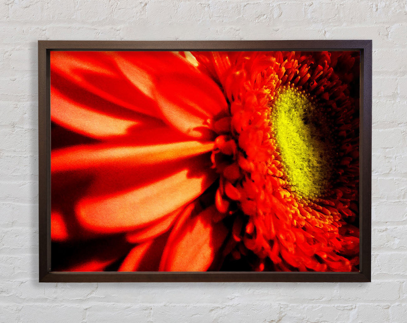Close-up Of A Gerbera Framed Wall Art