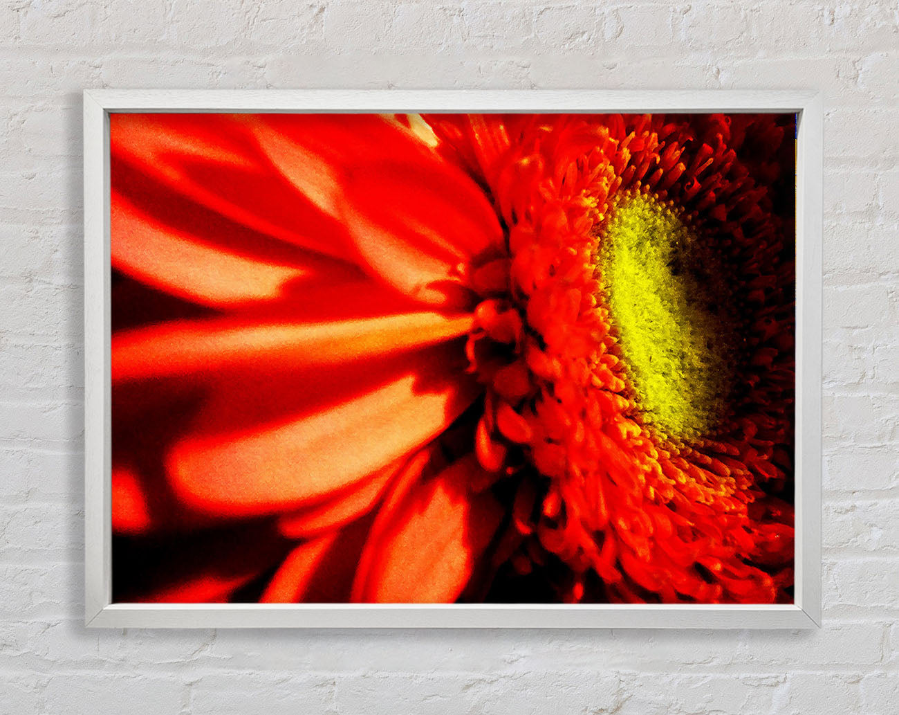 Close-up Of A Gerbera Framed Wall Art
