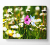 Flowers Field Canvas Wall Art