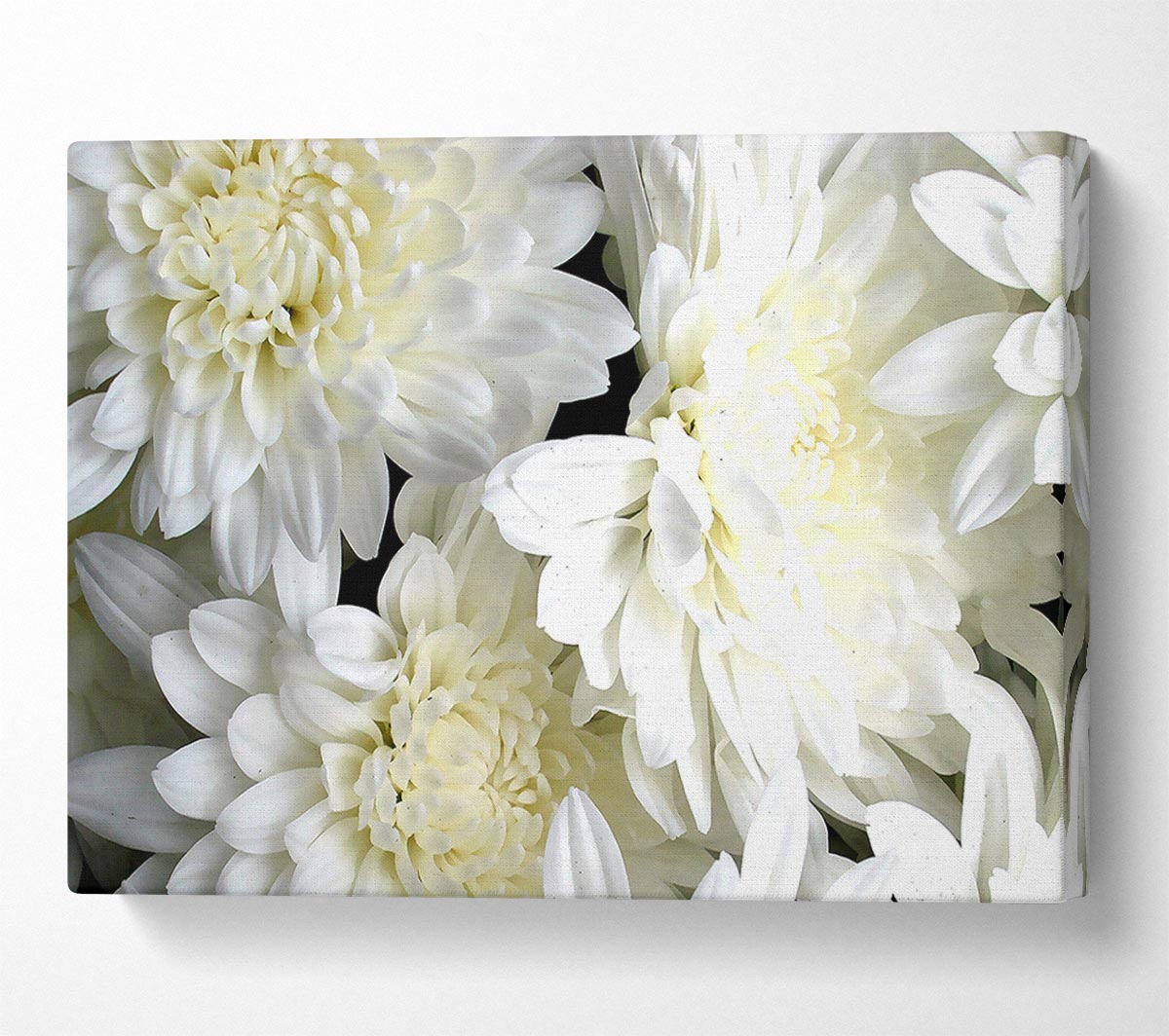 White Flowers Canvas Wall Art