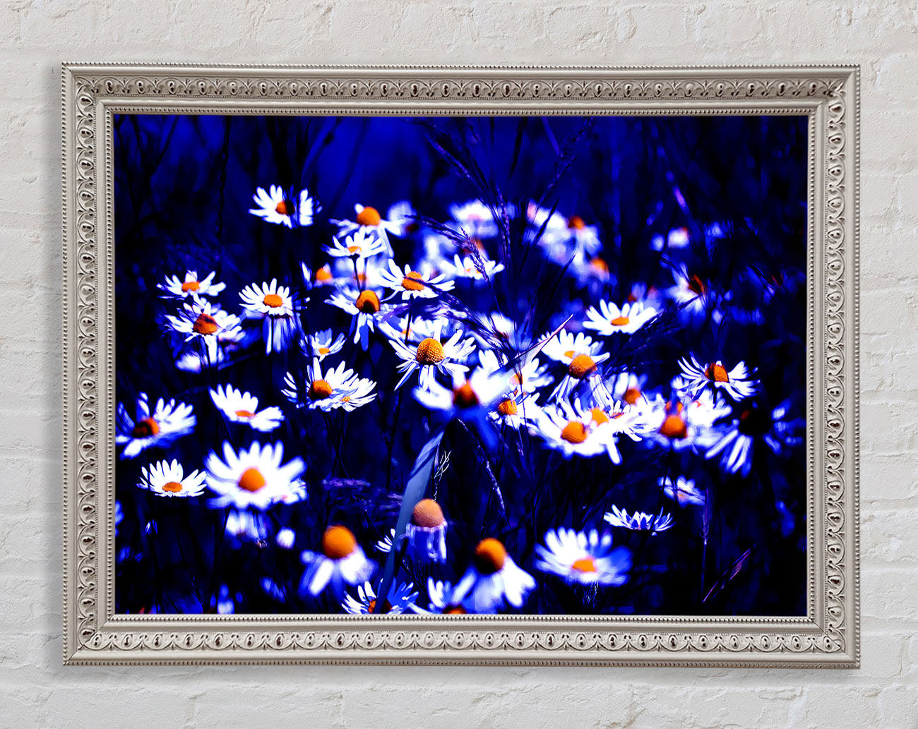 Chamomile Flowers Framed Wall Art