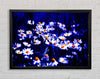 Chamomile Flowers Framed Wall Art