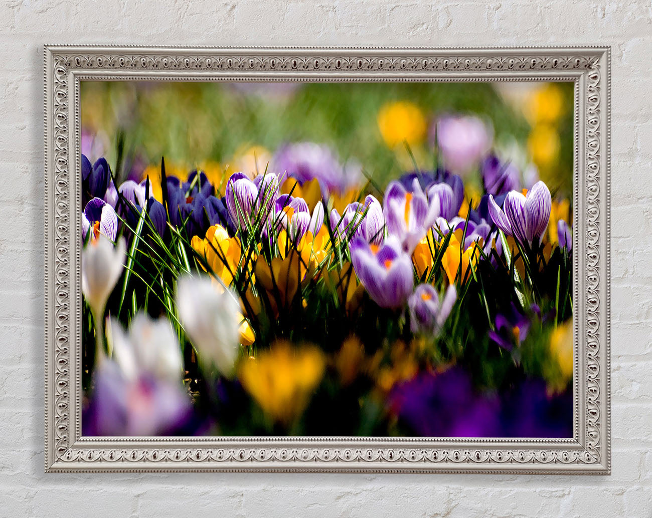 Crocus Field Framed Wall Art