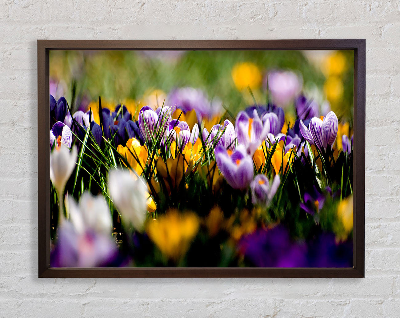 Crocus Field Framed Wall Art