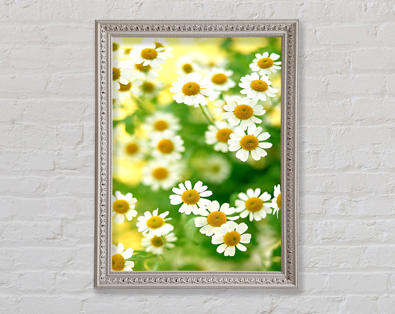 Chamomile Macro Framed Wall Art