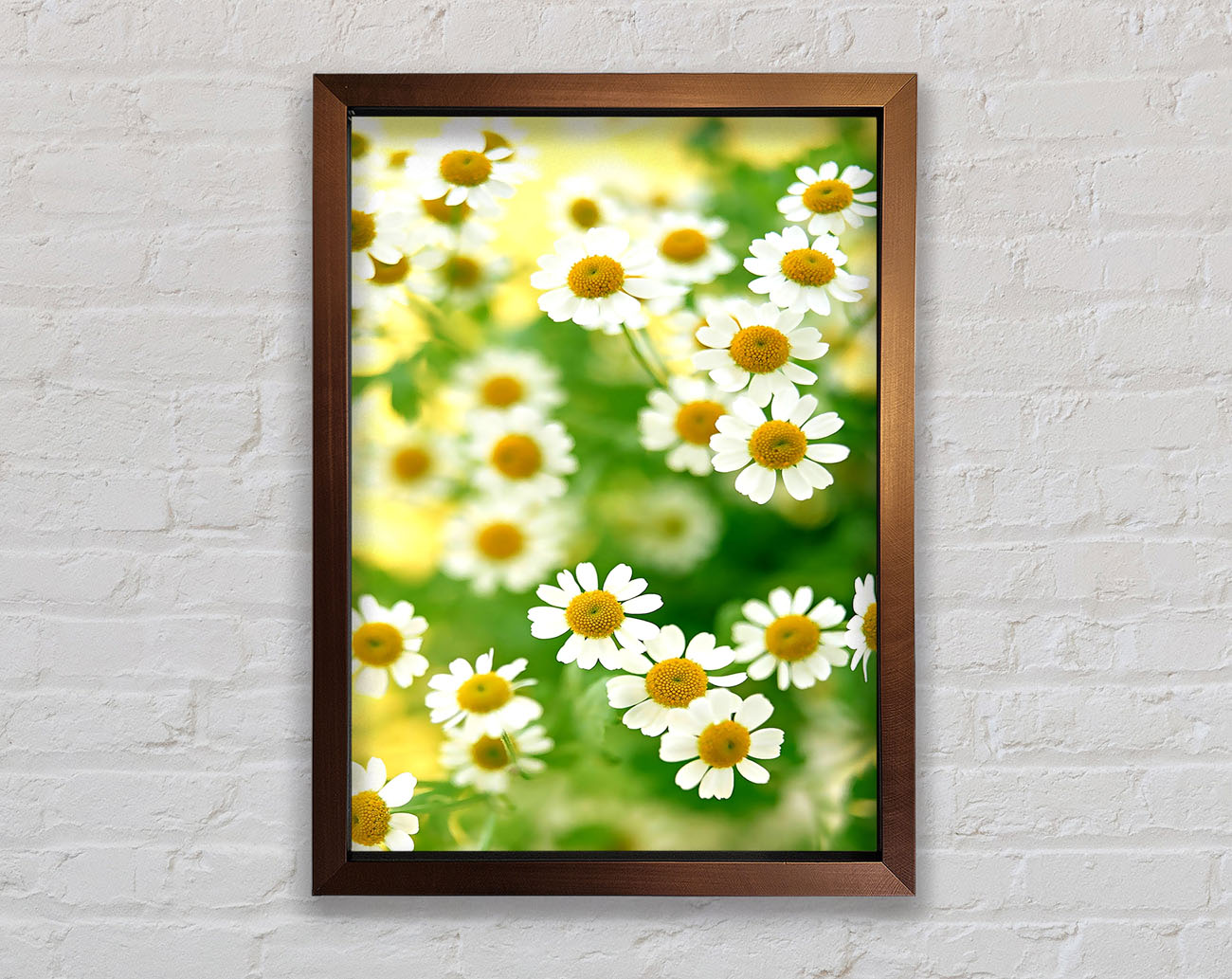 Chamomile Macro Framed Wall Art