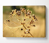 Winter Canvas Wall Art