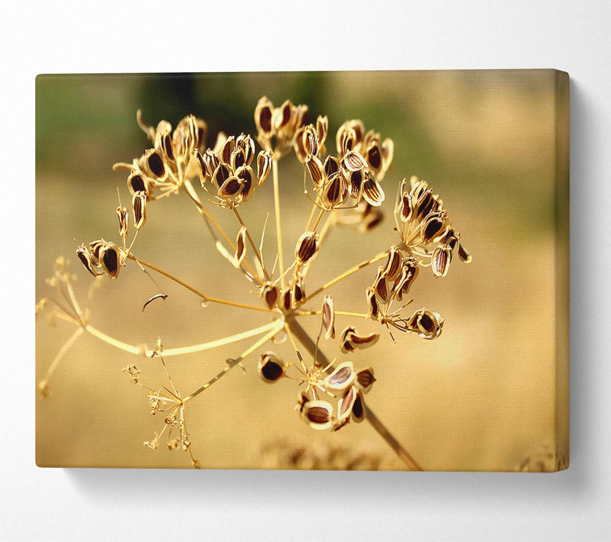 Winter Canvas Wall Art