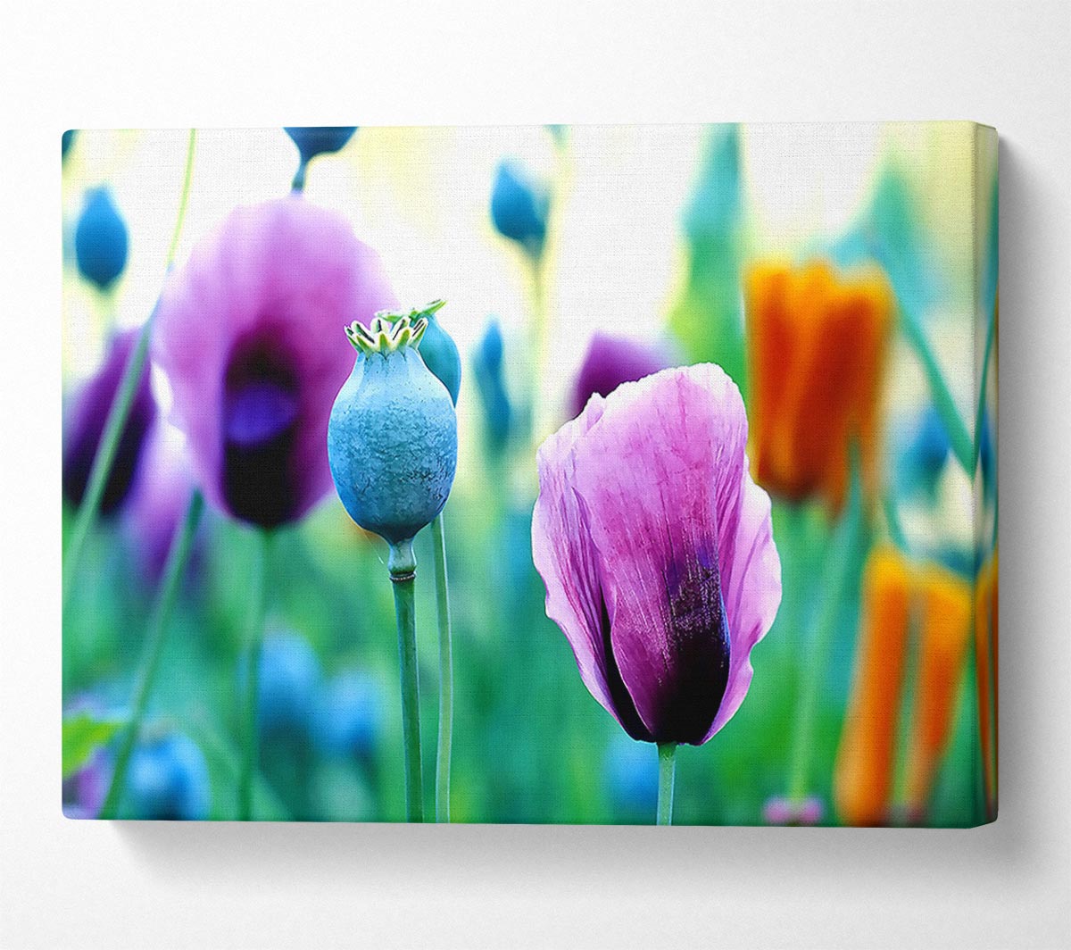 Purple Poppies Canvas Wall Art