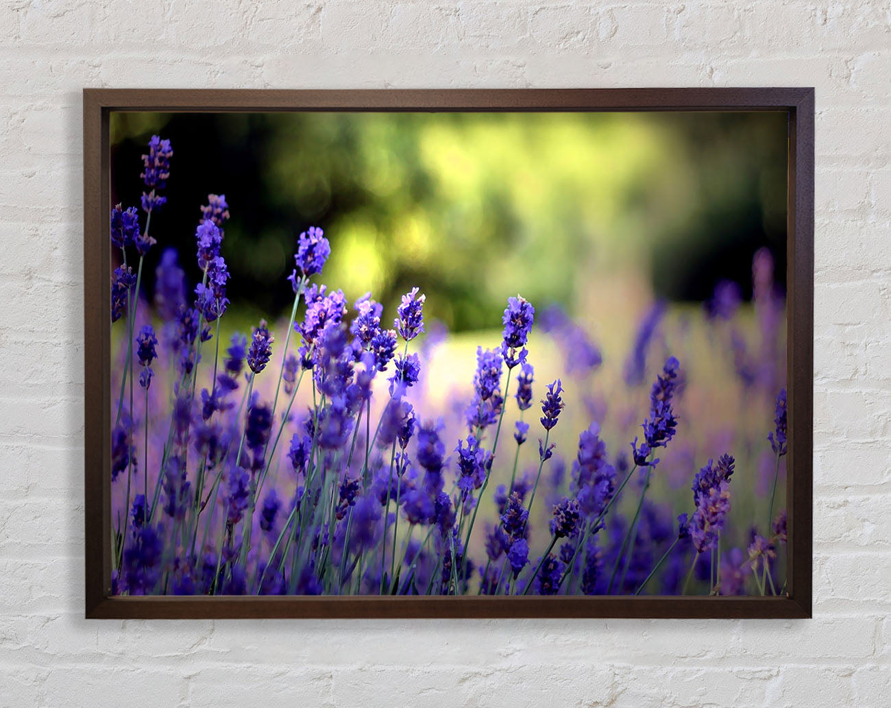 Beautiful Lavender Flowers Framed Wall Art