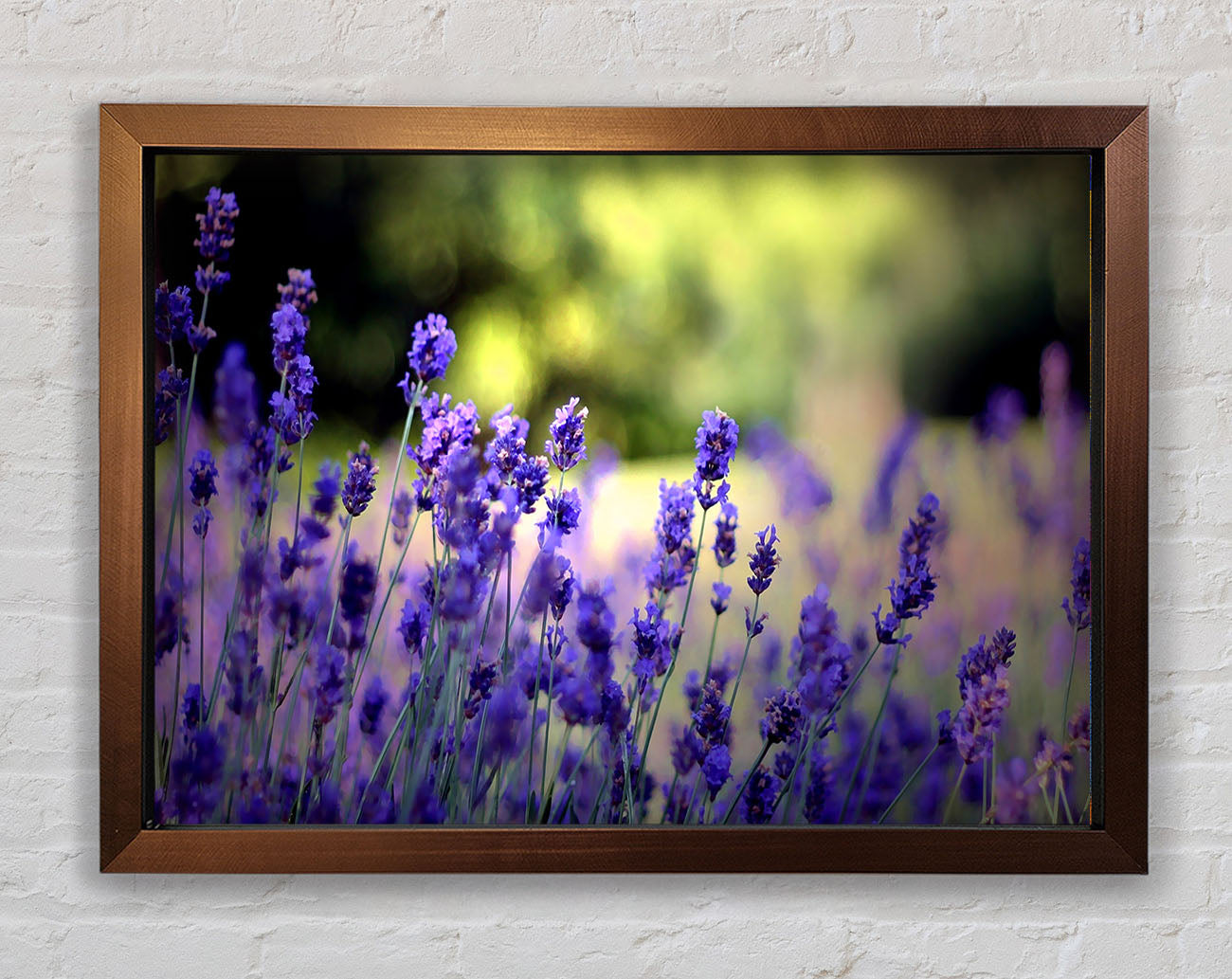 Beautiful Lavender Flowers Framed Wall Art