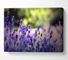 Beautiful Lavender Flowers Canvas Wall Art