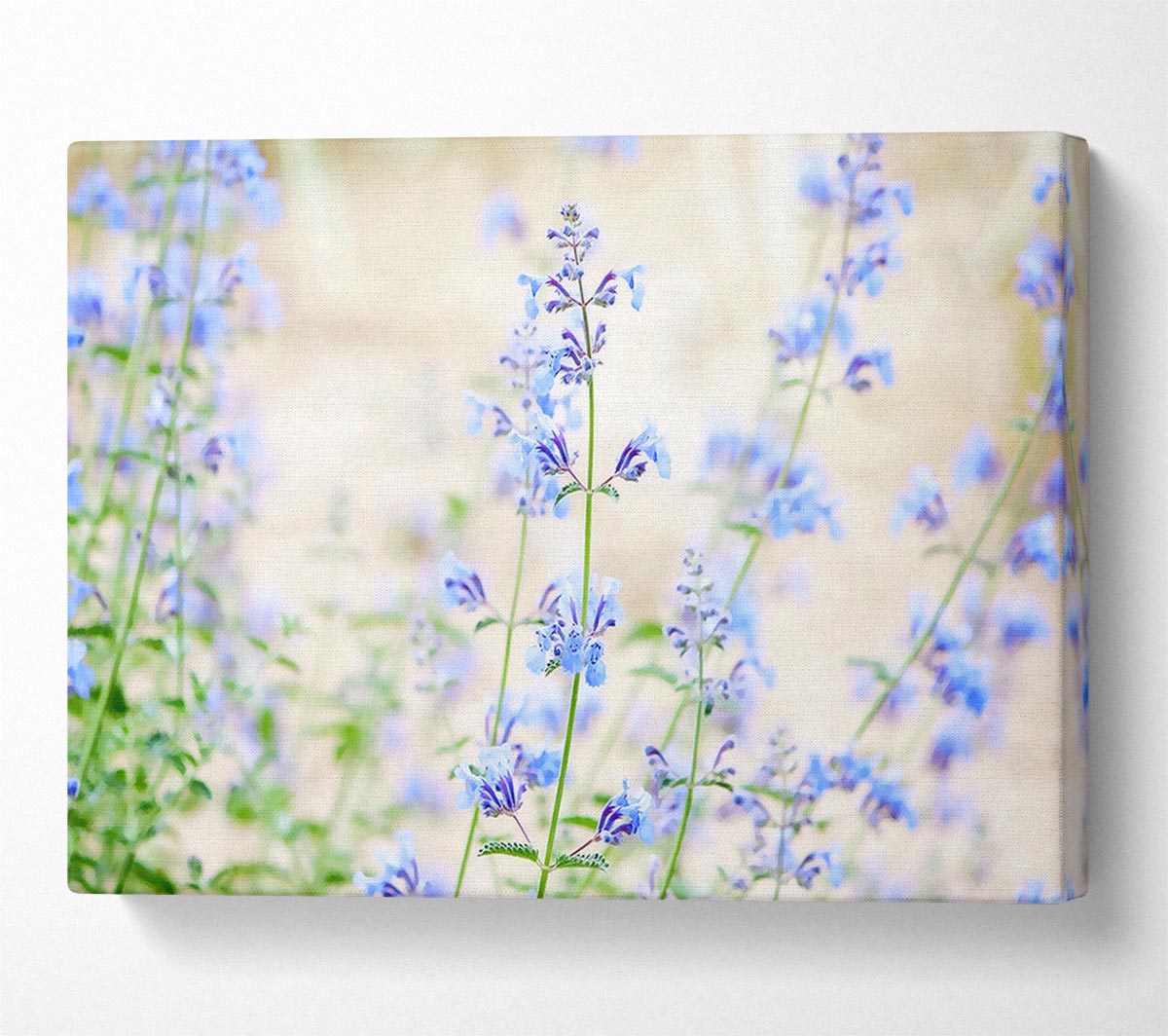 Blue Small Flowers Canvas Wall Art