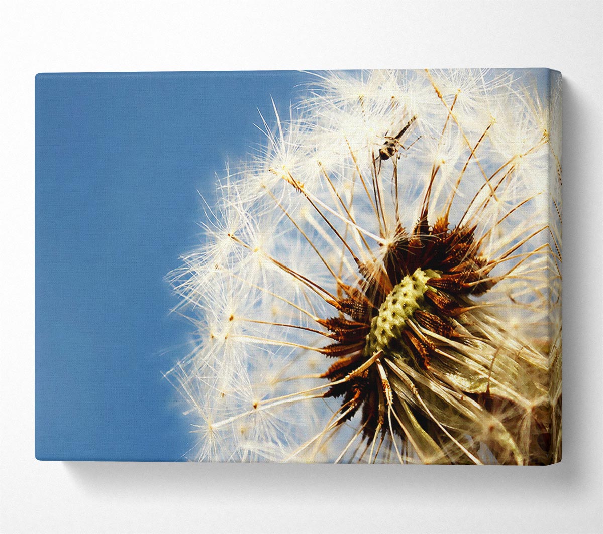 Dandelion Skies Canvas Wall Art