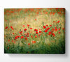 Poppies In The Field Canvas Wall Art
