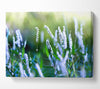 Bush Flowers Canvas Wall Art