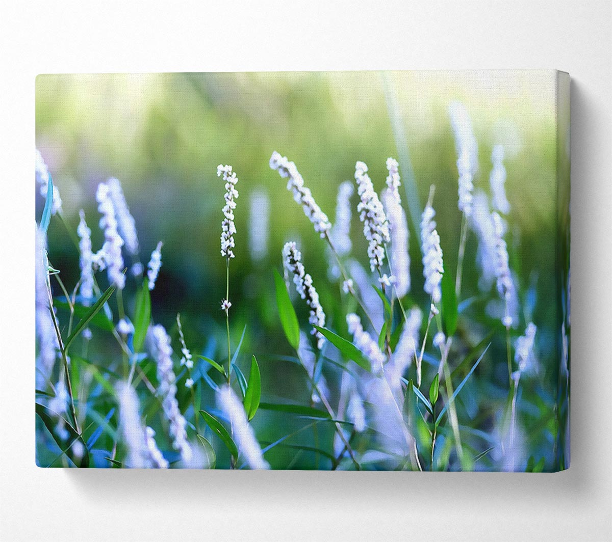 Bush Flowers Canvas Wall Art