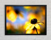 Cool Autumn Framed Wall Art